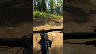 Trek Roscoe 8  Suspension Testing [upl. by Greabe]