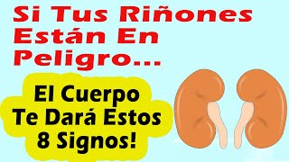 SI TUS RIÑONES ESTÁN EN PELIGRO EL CUERPO TE DARÁ ESTOS 8 SIGNOS [upl. by Adnoved]