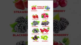 Types of Berries [upl. by Adnamahs]