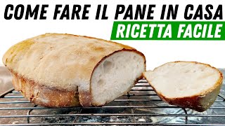 🥖Pane FATTO IN CASA Come In Panetteria 🍞 Ricetta Facile In Pochi Minuti [upl. by Estel]