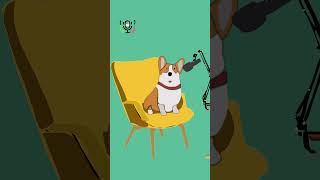 Isnt That Concerning Corgi podcast ft Smudge catpodcastcorgi smudge [upl. by Crissy519]