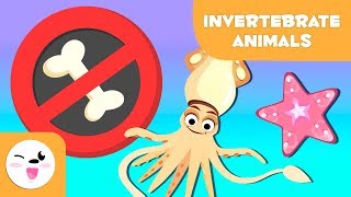 Invertebrate animals for kids arthropods worms cnidarians mollusks sponges echinoderms [upl. by Melvyn81]