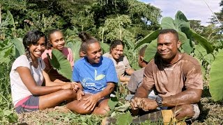 The Naqaqa Family Farm Fiji [upl. by Dnanidref]