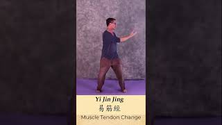 10 reasons to learn the Yi Jin Jing 1 5 [upl. by Winifield491]