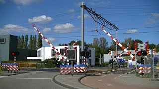 Spoorwegovergang DriebergenZeist  Dutch railroad crossing [upl. by Ahsienek]