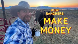 How Ranchers Make Money [upl. by Hairahcez]