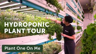 HYDROPONIC FARM Tour with FarmOne — Ep 393 [upl. by Akire395]