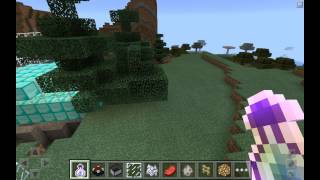 How to use the bottle o enchanting in minecraft [upl. by Animrac]