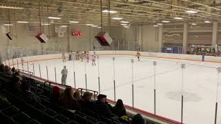 Little Caesars U19AAA vs Pittsburgh Pens Elite [upl. by Annawal]