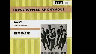 The Hedgehoppers Anonymous  Remember 1966 [upl. by Reseda]