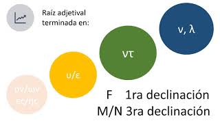 Lección 20 adjetivos de 3ra declinación griego koiné 2 [upl. by Durtschi863]