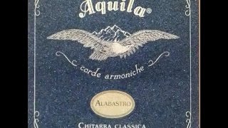 Alabastro Aquila Italian Strings on Andalusian Simplicio Vanguard Guitars Spain Ruben Diaz flamenco [upl. by Margit620]