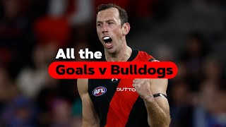 All the goals Dons v Dogs  Rd 5 💥💥💥 [upl. by Yanaton608]