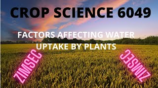 FACTORS AFFECTING WATER UPTAKE BY PLANTS [upl. by Benildis]