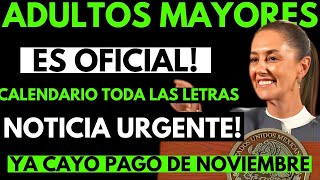 ✅ Pensión Bienestar Todo lo que Debes Saber del Pago de NoviembreDiciembre para Adultos Mayores [upl. by Norrej]