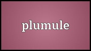 Plumule Meaning [upl. by Akcirre646]