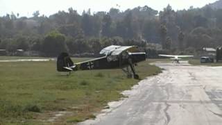 Storch Criquet Full Size Landing Close Up [upl. by Adey]