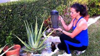 Recipe with Aloe Vera for Cancer Prevention [upl. by Mufi]