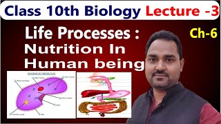 class 10 biology life process by nds classes [upl. by Kragh]