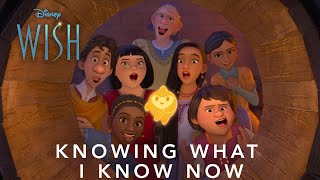 Knowing what I know now Wish Disney [upl. by Atil]