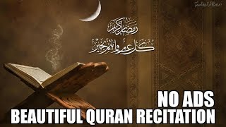 Beautiful Quran Recitation  10 Hours  No Ads [upl. by Esydnac]