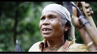 Kalakkatha tittle song  Ayyappanum koshiyum [upl. by Cattima]