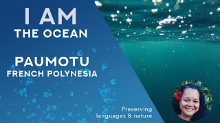 IAM the ocean  Paumotu  French Polynesia [upl. by Yragerg]