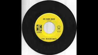 The MUGWUMPS  Jug Band Music 1966 [upl. by Minier]