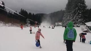 La sanius pe Partia LUPULUI in Poiana Brasov 01122016 [upl. by Ursa]