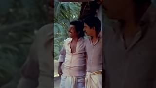 kuthiravattam pappu comedy😂1 hilarious funny moment from malayalam dramedy quotdhim tharikida thomquot [upl. by Alcine]