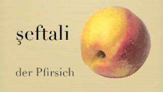 Türkisch lernen  Obst [upl. by Puklich]