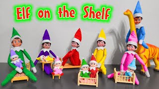 Elf on the Shelf 2020 All Colors Elf on the Shelf and Elf Babies [upl. by Orferd]