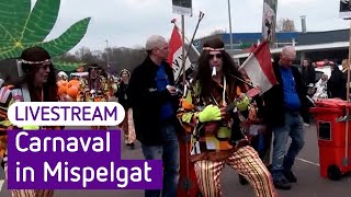 Carnavalsoptocht in Zaltbommel Mispelgat 2024  Omroep Gelderland [upl. by Moran]