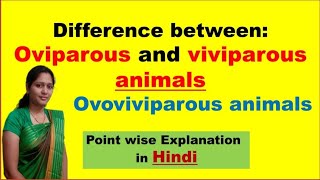 Oviparous Vs Viviparous animals  Ovoviviparous animals  In Hindi [upl. by Yraunaj]