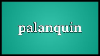 Palanquin Meaning [upl. by Brawley]