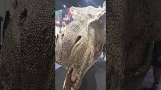 Jurassic Park TRex ECC Booth SDCC 2024 queenstudios jurrassicpark jurrassicworld trex [upl. by Frymire]