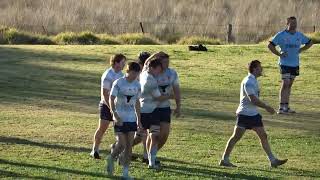 Lions v Narrabri first grade tries today [upl. by Enilrad482]