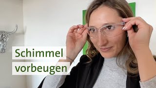 Schimmel in der Wohnung vorbeugen und entfernen [upl. by Sassan691]