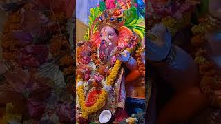 Maurya re shorts bappa bappamorya ganpatibappa ganpatibappa ganpatibappamorya youtubecreator [upl. by Einahpet393]