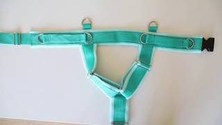 DIY Fleece Dog Harness [upl. by Billie]