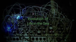 028  Evolution  Pittsburgh Modular Lifeforms  SV1b  Generative Ambient [upl. by Araccat431]