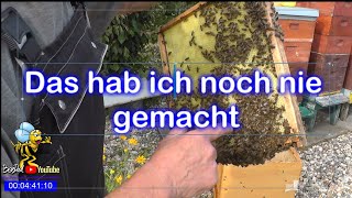 Ich habe da mal was ausprobiert Imkerei Bienen und Natur 2024 [upl. by Ellison]