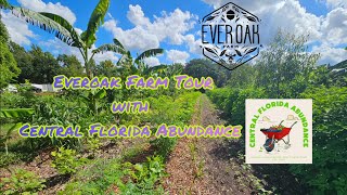 Everoak Farm Syntropic Agroforestry Farm tour w Central Florida Abundance】 [upl. by Holman]