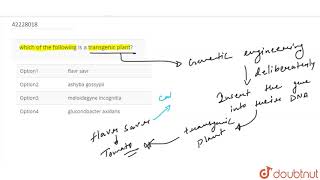 which of the following is a transgenic plant [upl. by Carbo998]