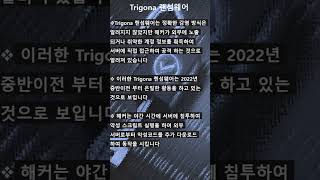 랜섬웨어 Trigona 유지보수 백업웨어 안전백업 S94 SR133 [upl. by Kellene605]