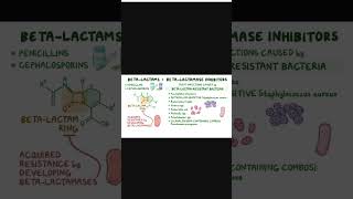 Mechanism of action of beta lactam antiobiotics  Medicinal Chemistry  Shorts  genericmedicine [upl. by Bartlett]