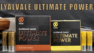 Lyalvale Ultimate Power Shotgun Cartridge Review 12 amp 20 Gauge [upl. by Mikol]