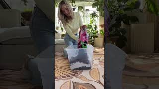 HIGH QUALITY potting soil perlite orchid bark Mix well 🤌🏻 Happy growing planttips soil diy [upl. by Annirac9]