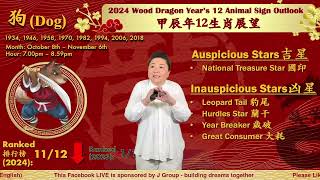 The Dog  2024 Chinese Zodiac 12 Animal Signs Outlook [upl. by Trixy]