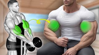 6 Exercises to Get Huge Biceps Fastest [upl. by Adnarym]